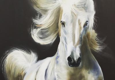 13220618 10153837029062655 2511581383350842032 O1