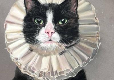 29388546 10155902421212655 231600933274946060 N1